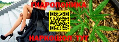 ГАЛЛЮЦИНОГЕННЫЕ ГРИБЫ Будённовск
