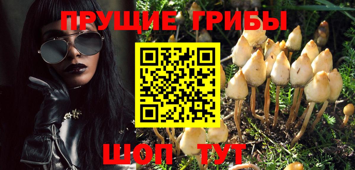 Псилоцибиновые грибы Psilocybe  Вход с VPN  Нягань 
