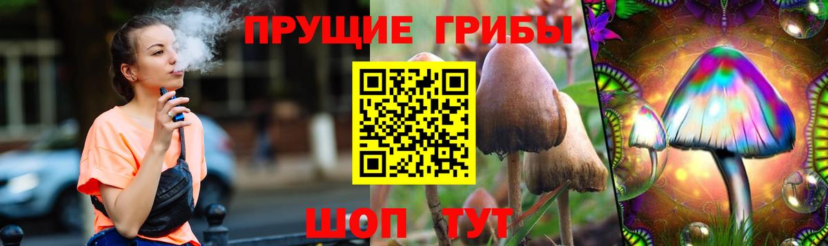 Псилоцибиновые грибы Psilocybine cubensis Нягань